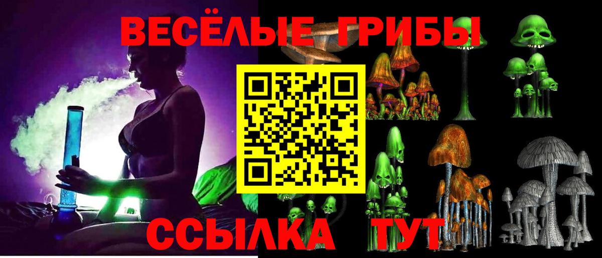 Гусиноозёрск  Псилоцибиновые грибы прущие грибы  где купить наркотик  Вход с VPN 